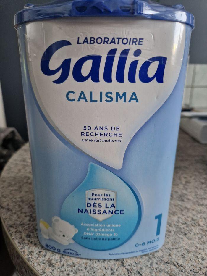 Gallia calisma - photo numéro 1