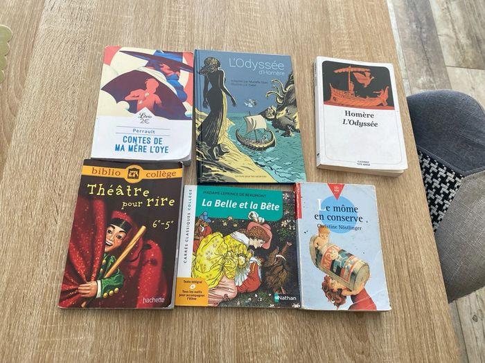 Lot livres programmes français 6 eme - photo numéro 1