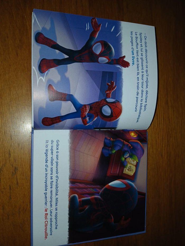 Spidey amis extraordinaires - photo numéro 4