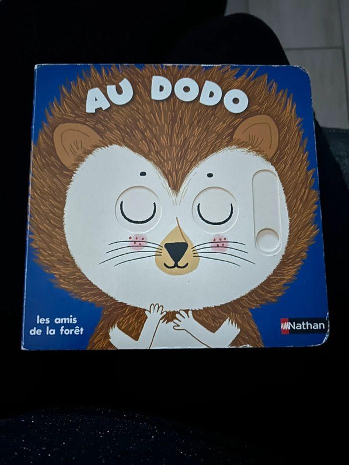 Livre au dodo - photo numéro 1