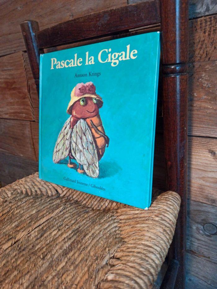 Livre drôles de petites bêtes Pascal la cigale BE - photo numéro 3