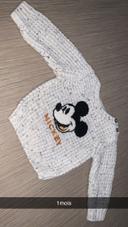 Pull en laine mickey