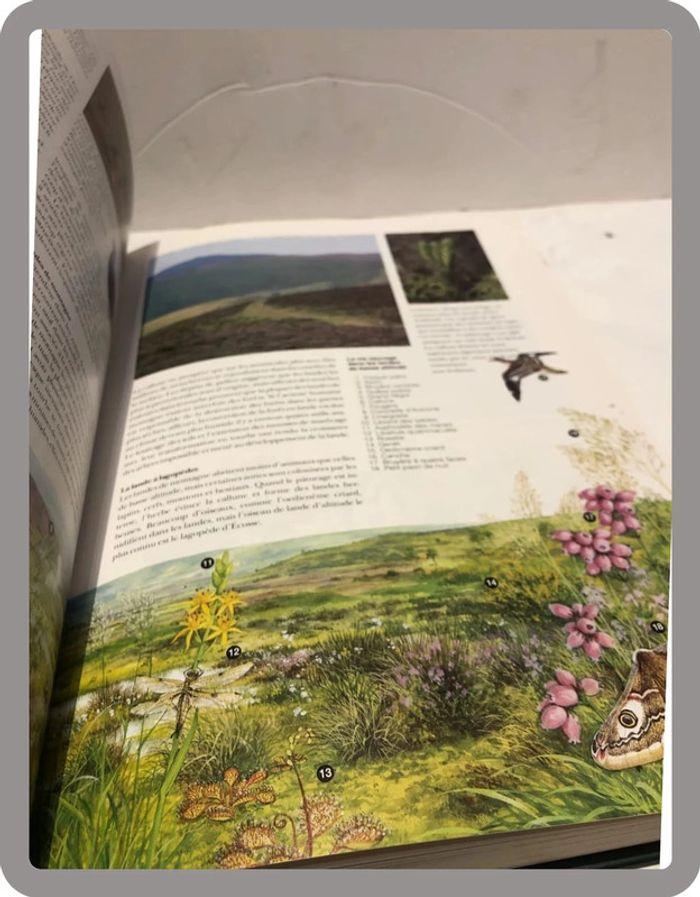 Livre nature Histoire naturelle illustrée de France et D’Europe - photo numéro 13