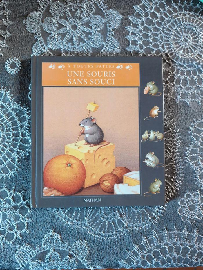 Livre Une souris sans souci - photo numéro 1