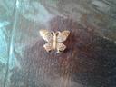 Broche papillon tbe