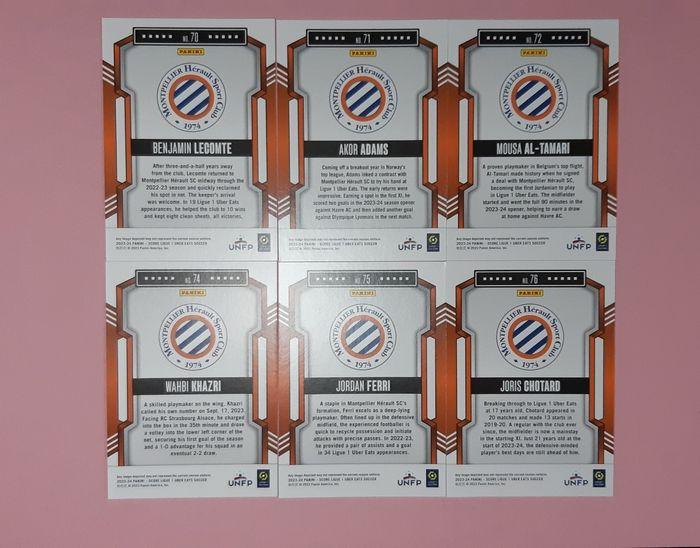 10 cartes de foot panini score L1 MHSC - photo numéro 3