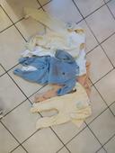 Lot 5 Pyjamas grenouillères éponge 12mois