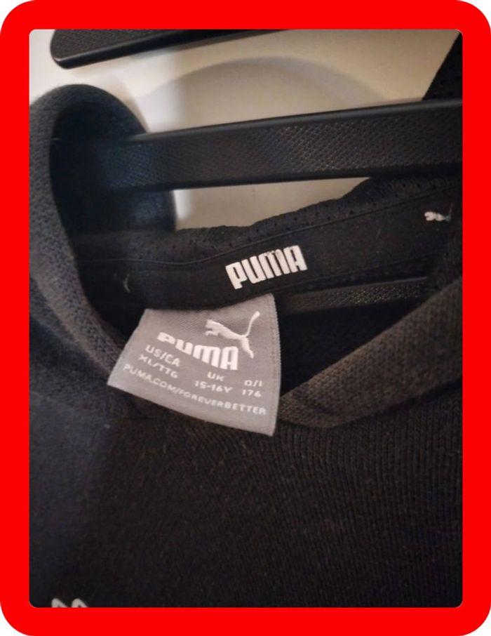 Pull puma 15,16a - photo numéro 4