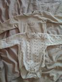 Lot de 2 bodies velours hiver neufs taille 18 mois