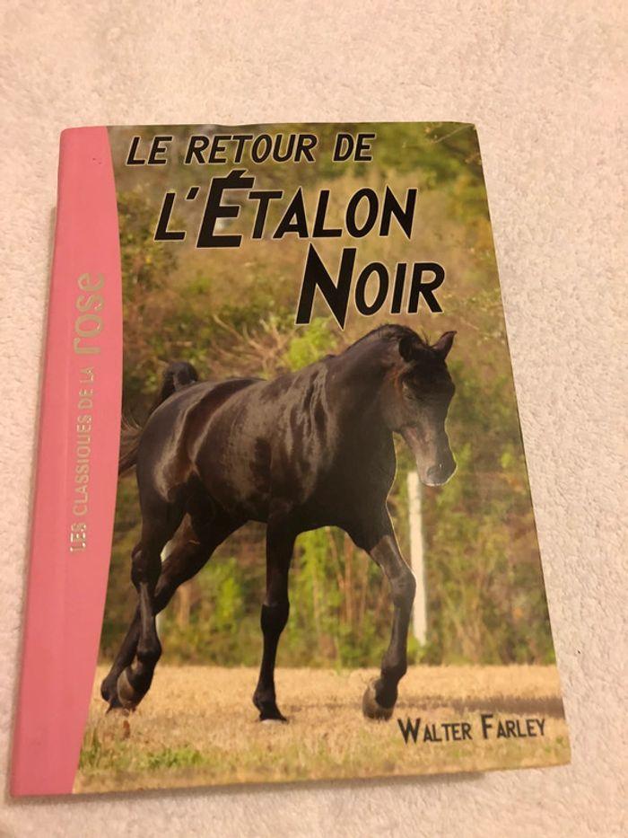 Lot de livre pour petite fille - photo numéro 3