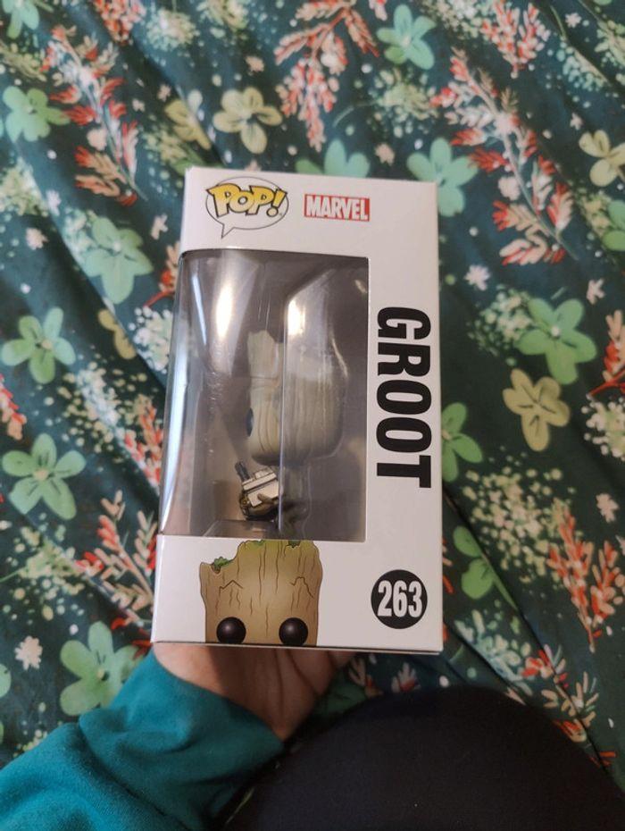 Pop groot - photo numéro 6