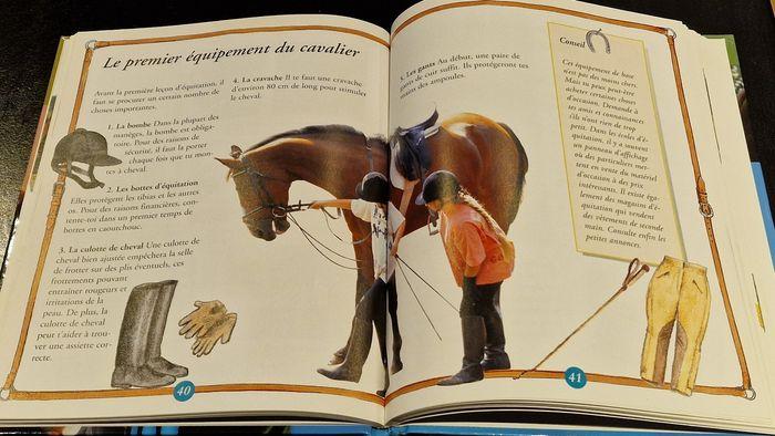 Livre d'apprentissage sur le thème du cheval - photo numéro 3