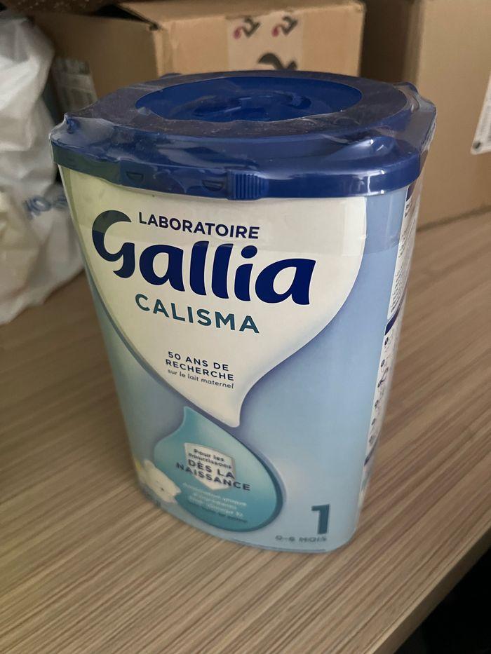 Gallia calisma - photo numéro 1