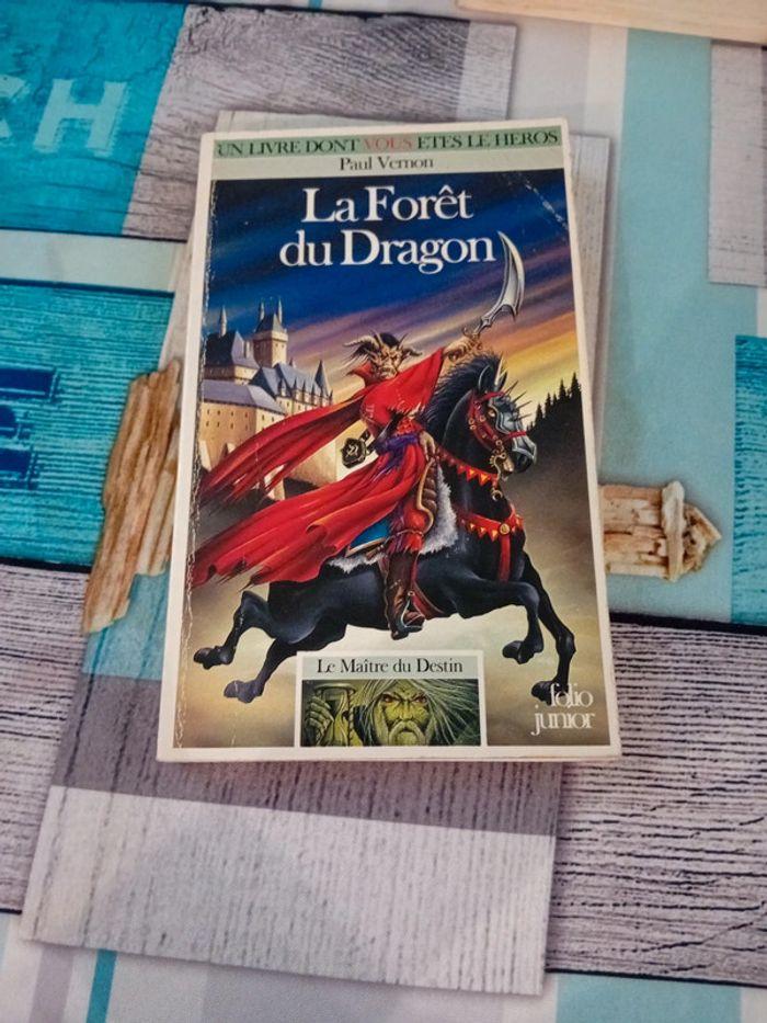 LDVELH la forêt du dragon - photo numéro 1