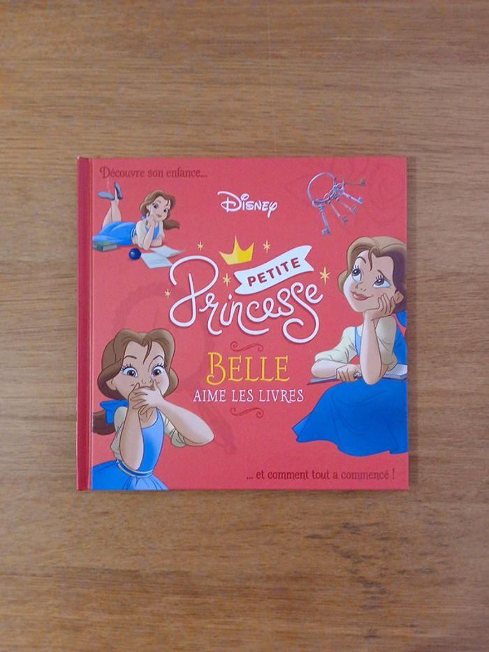 Lot petite princesse disney - photo numéro 11