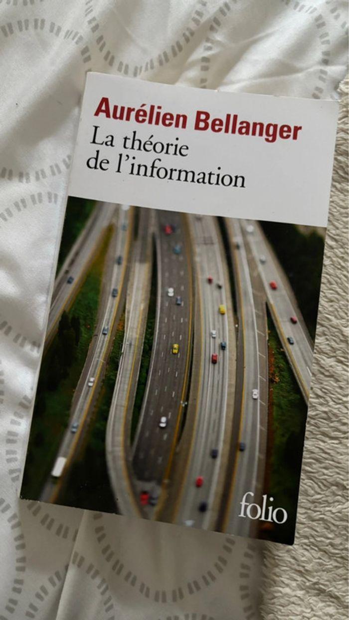 La théorie de l’information - Aurélien Bellanger - photo numéro 1