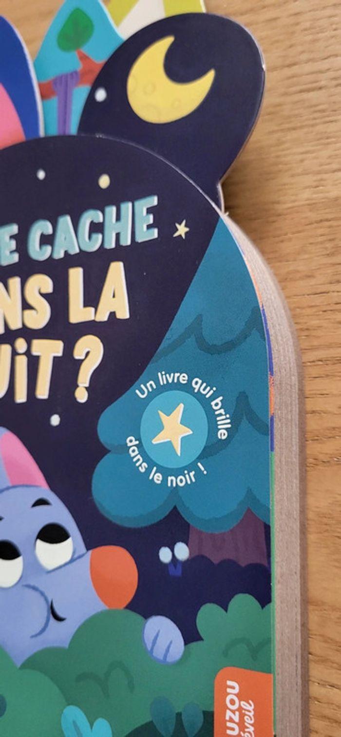 Livre Sonore Qui se cache dans la nuit ? - photo numéro 3