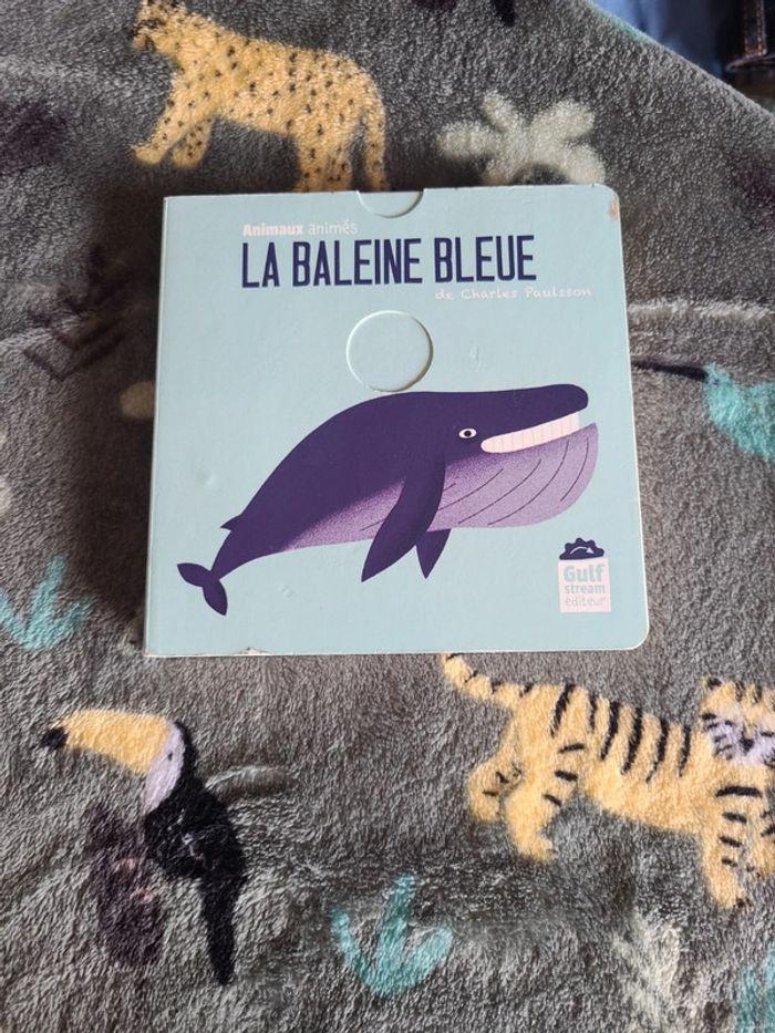 La baleine bleu - photo numéro 1