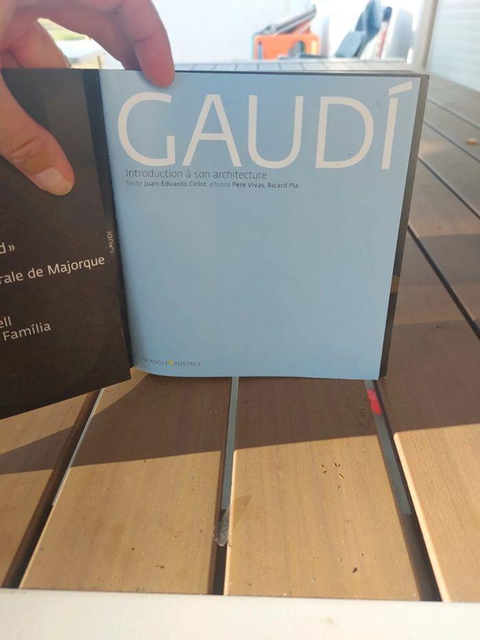 Livre  gaudi - photo numéro 2