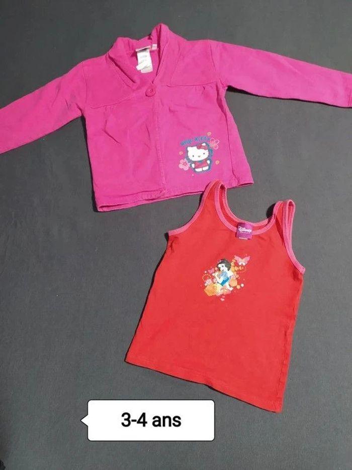 lot vêtements fille 36 mois/ 3 ans - photo numéro 2