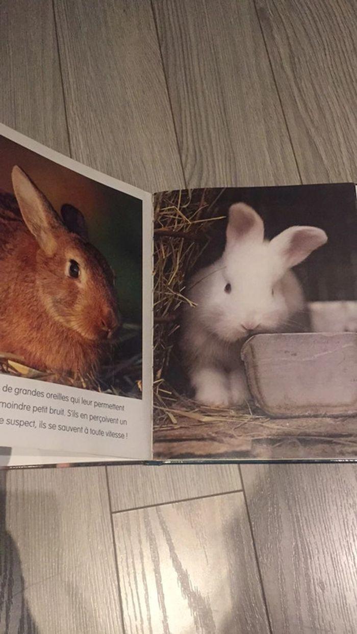 Les animaux de la ferme - photo numéro 7