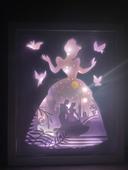 Lightbox Cendrillon