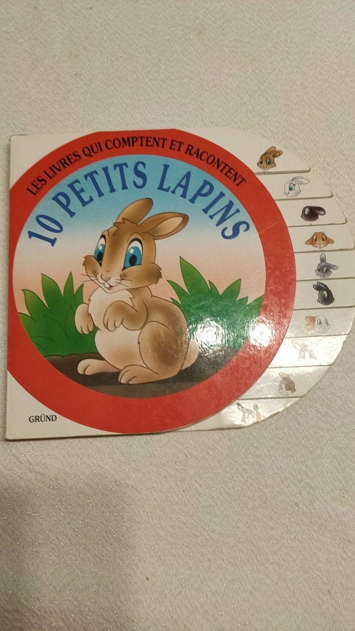 10 petits lapins - photo numéro 1