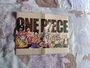 Manga one piece jaquette japonaise