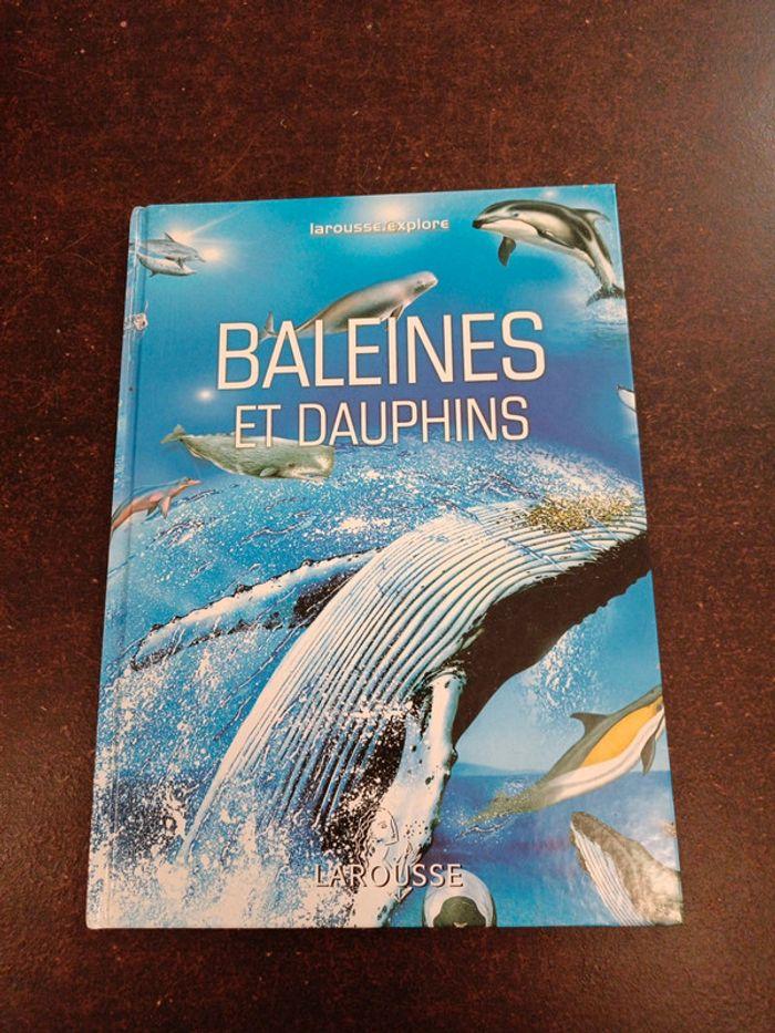 Baleines et dauphins - photo numéro 1