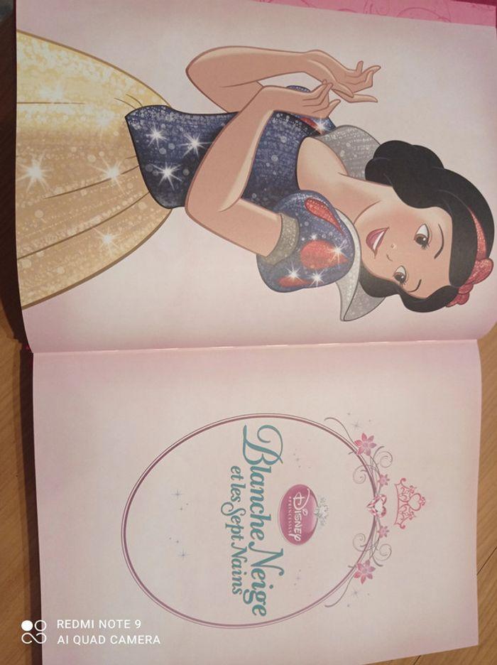 Livre princesses disney - photo numéro 8