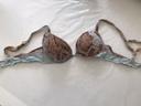 Soutien gorge Antigel