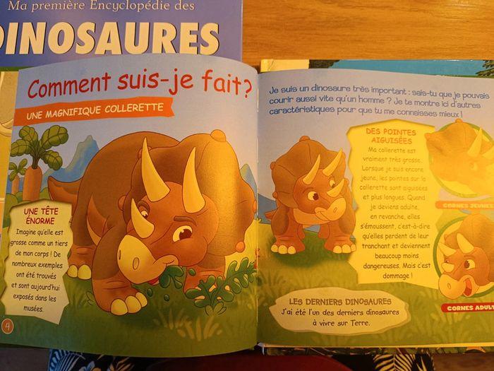 Livres sur les dinosaures - photo numéro 4