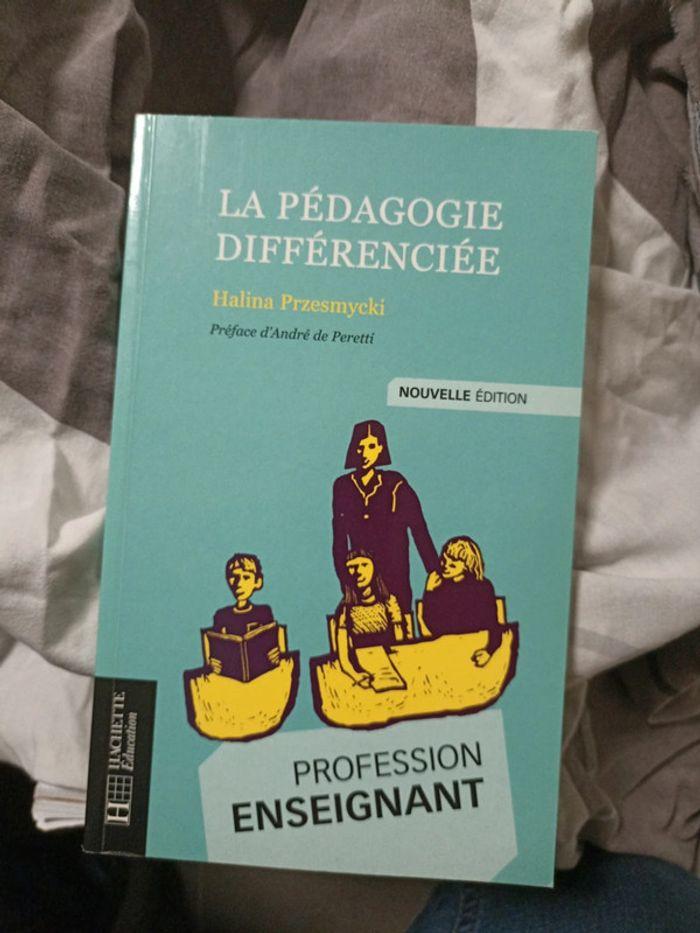 La pédagogie différenciée - photo numéro 2