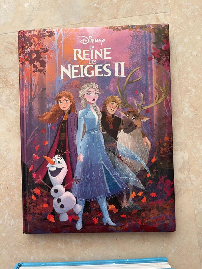 Lot livres reine des neiges - photo numéro 2