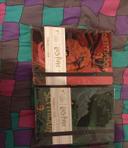 Lot carnet Harry Potter