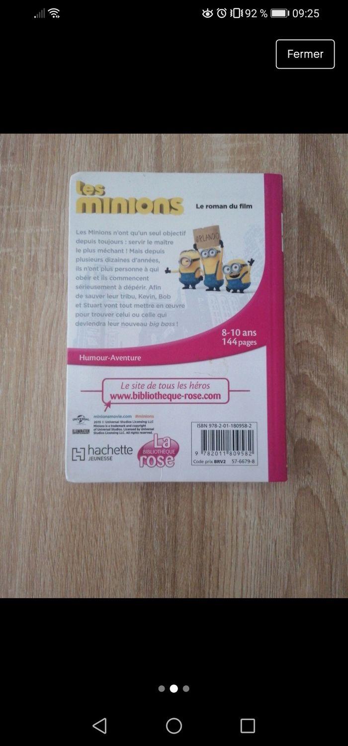 Livre minions. - photo numéro 2