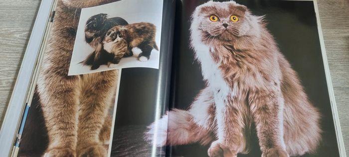 L'encyclopédie du chat - photo numéro 3