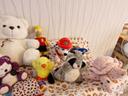 Lot peluche