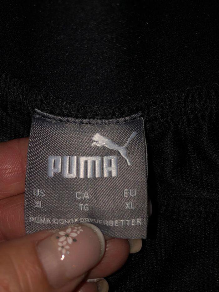 Short puma - photo numéro 4