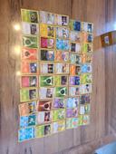 Lot de 50 carte pokemon