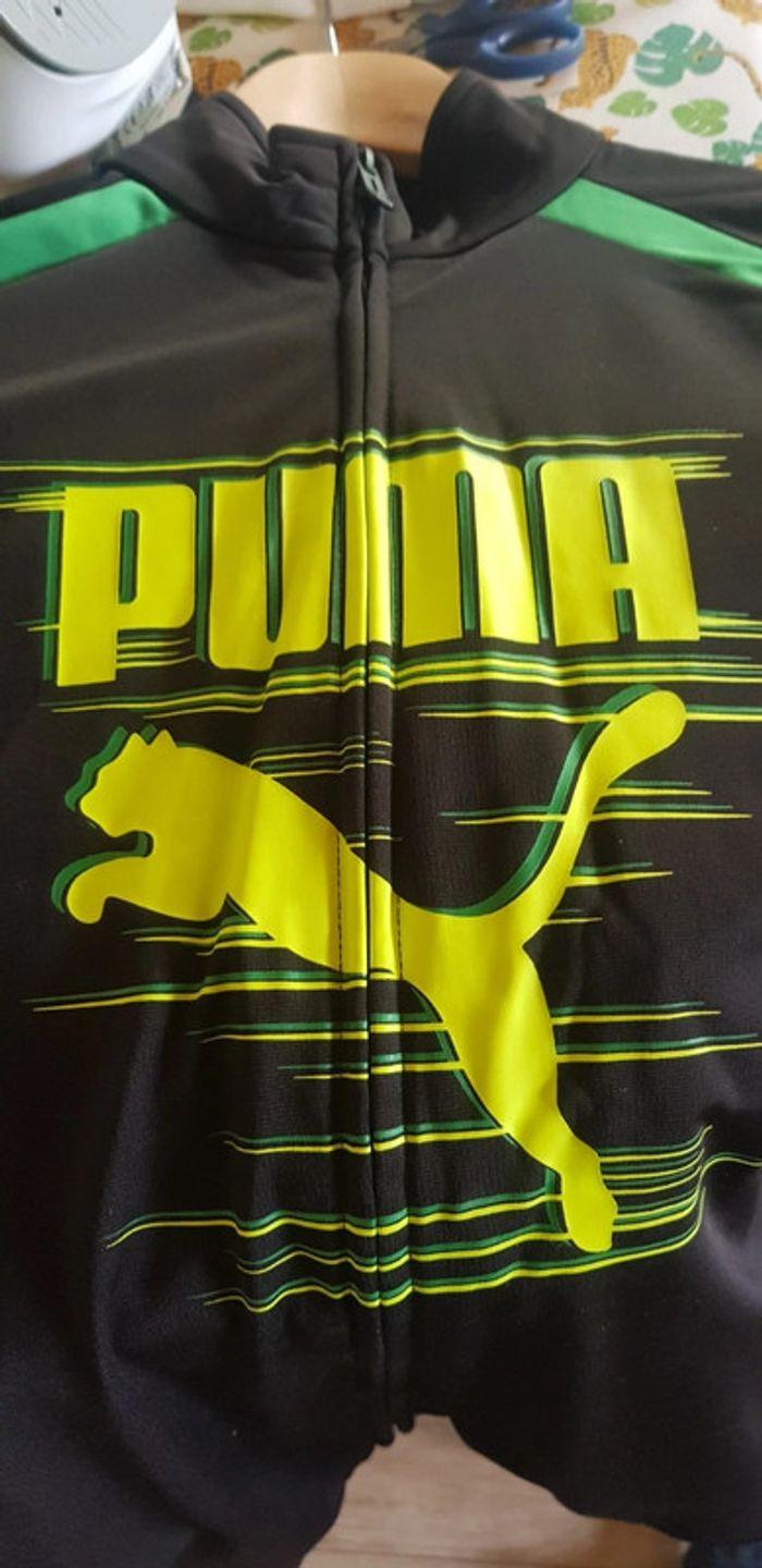 Veste survêtement Puma 15/16 ans (XXL enfant) - photo numéro 3