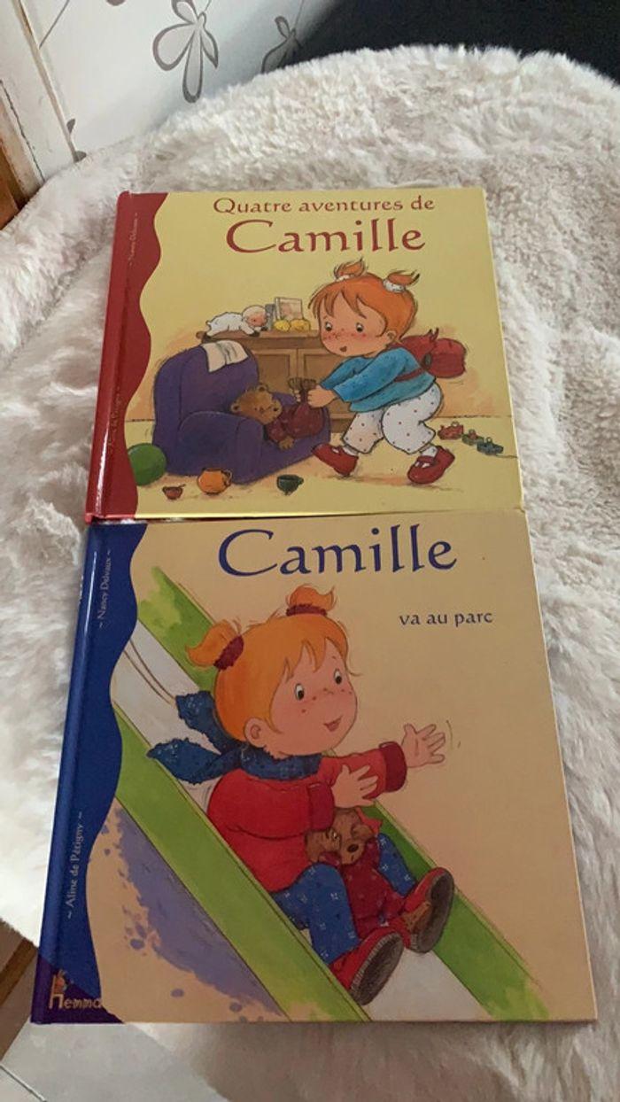 Les aventures de Camille - photo numéro 1