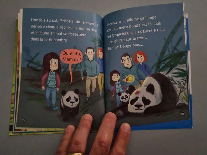 Livre enfant "Les animaux de Lou, bravo petit panda" - photo numéro 5