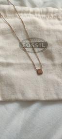 Collier fossil