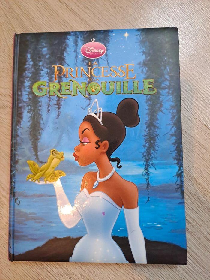 La princesse et la grenouille - photo numéro 1