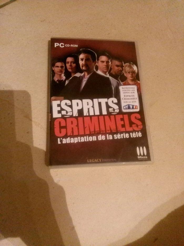 Jeu pc esprits criminels - photo numéro 1