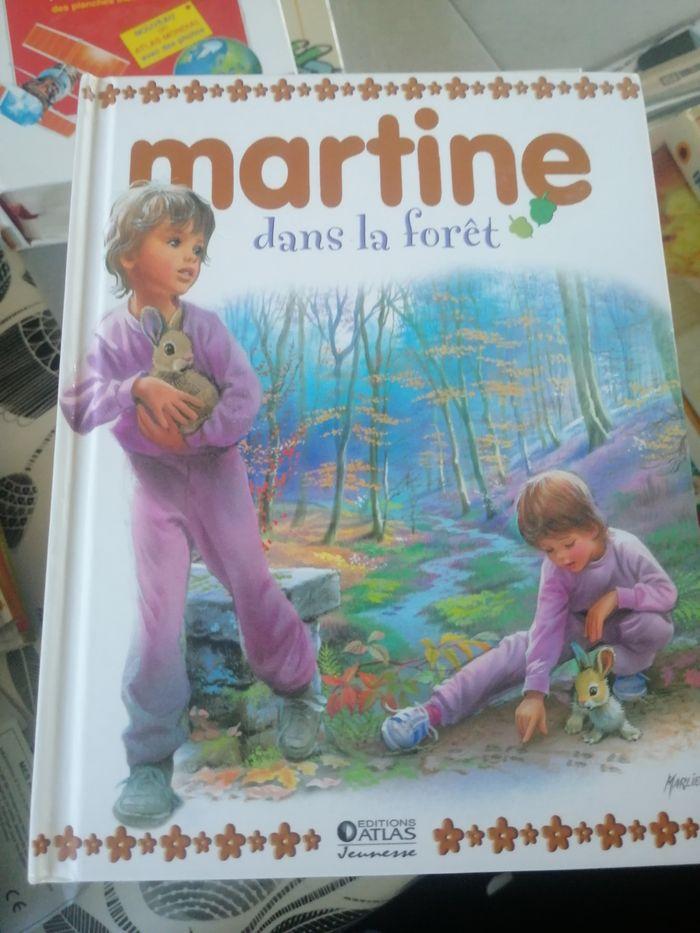 Livre martine - photo numéro 7