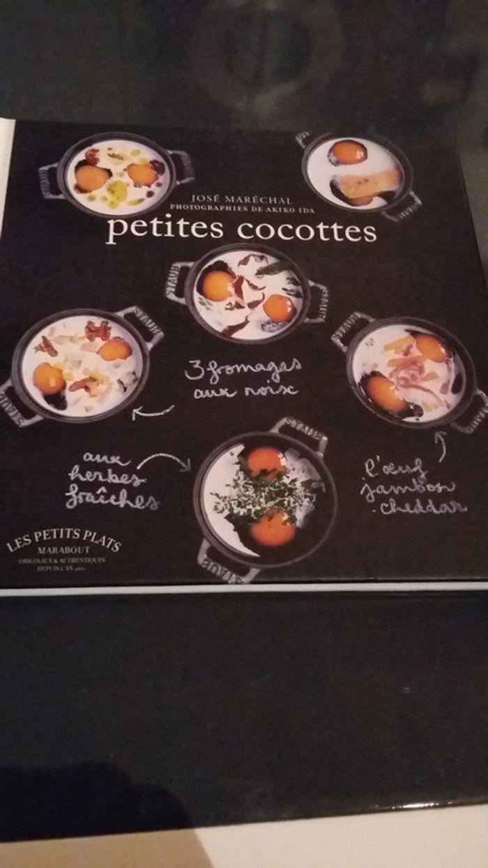 Livre de cuisine - Petites cocottes - photo numéro 1