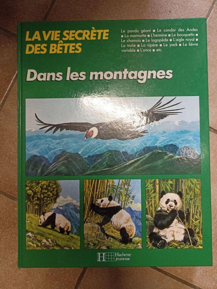 Livre sur les animaux - photo numéro 2