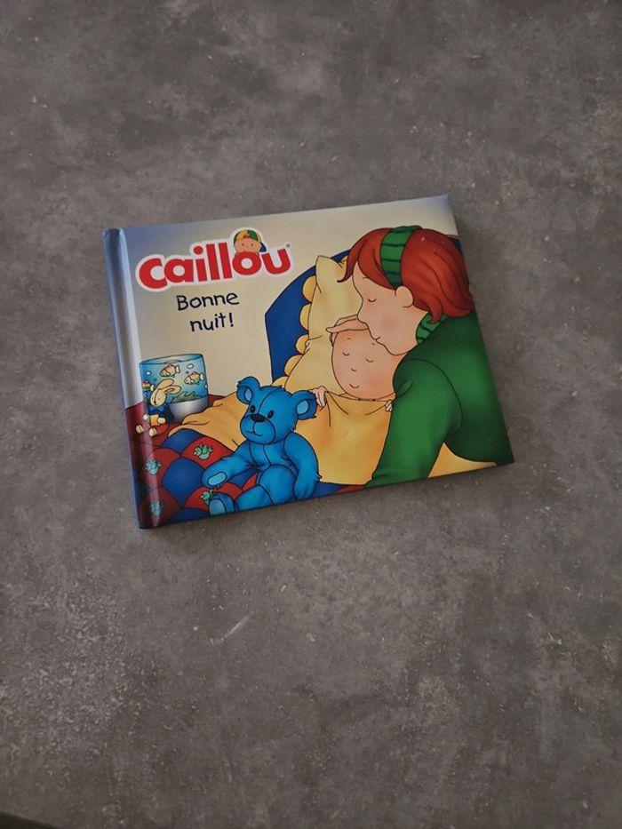 Livre enfant caillou Bonne nuit ! - photo numéro 1